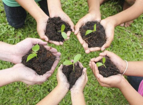 A Pegma Resources plantation drive at the Ajmer facility